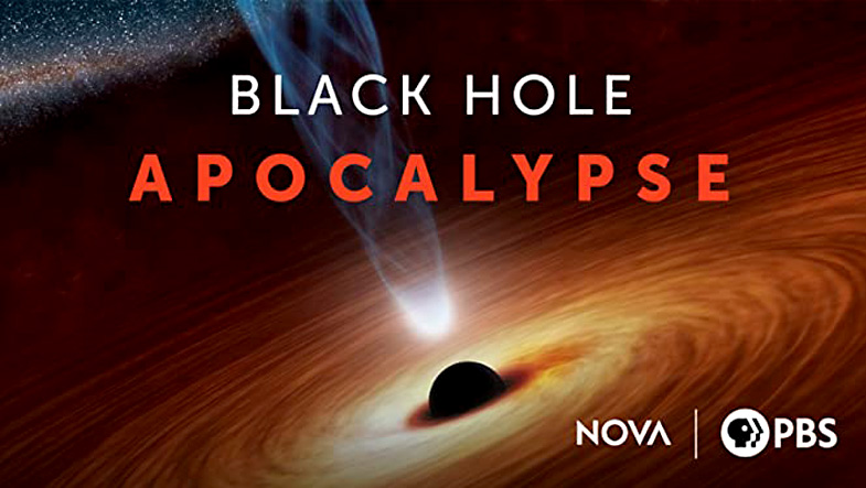 Black Hole Apocalypse